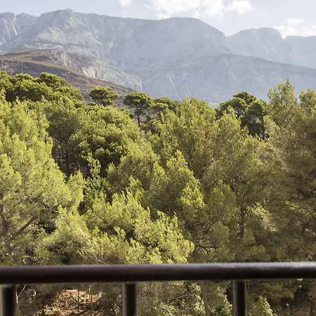 Bluesun Jadran Hotel 5*