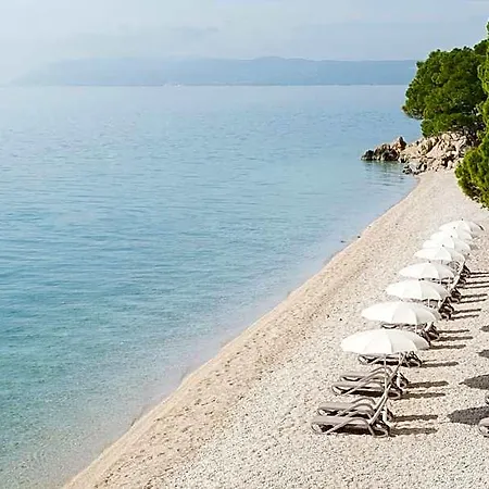 Bluesun Jadran