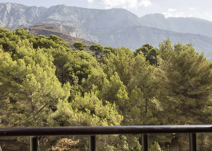 Bluesun Jadran Hotel 5*